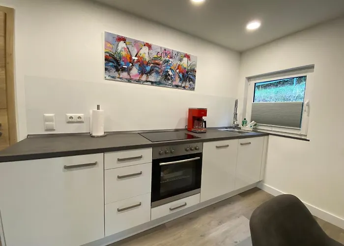 아파트 Haus Am Iberg 4 빌링겐