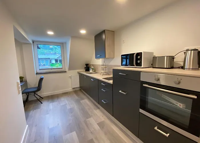 아파트 Haus Am Iberg 4 빌링겐